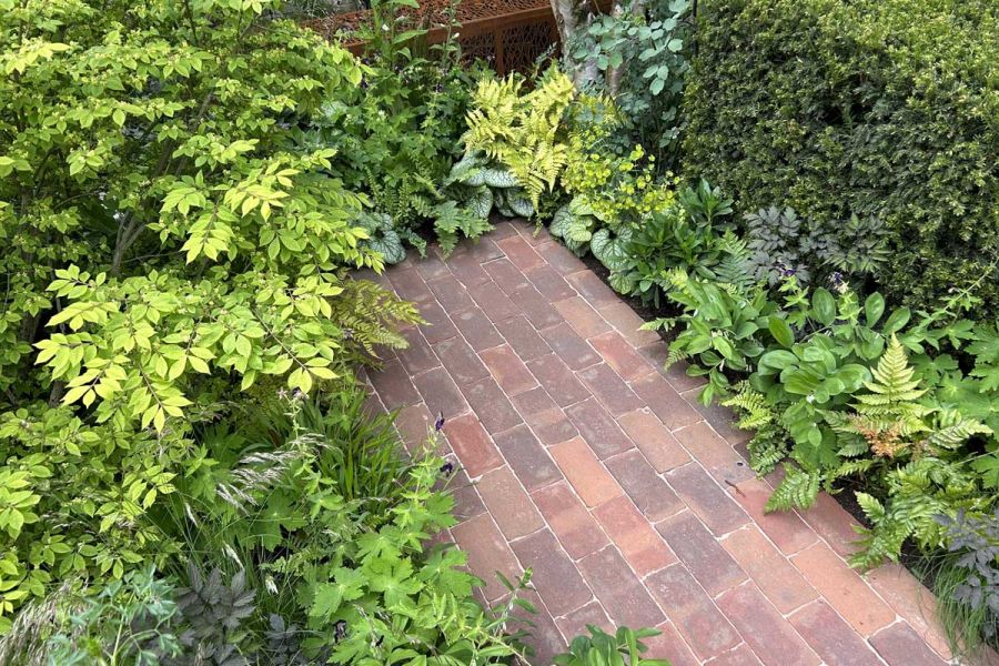 Tongue of Dorset Antique Belgian bricks with sanded joints reaches into leafy planting next to hedge. Design by Martyn Wilson.