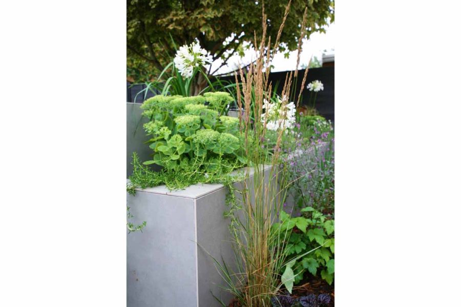 rectangular raised bed filled with plants, faced with matte grey exterior cladding. Fence and tree behind.