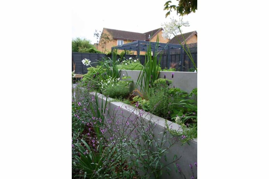 Terraced beds with varied planting faced with Matte Grey exterior cladding in porcelain. House and pergola behind.