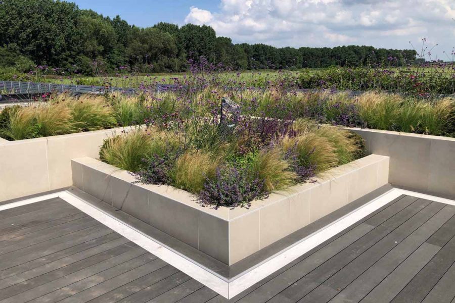 A square raised bed, filled with grasses and verbena, sits in angle of L-shaped bed, both faced with Off White Premium DesignClad.