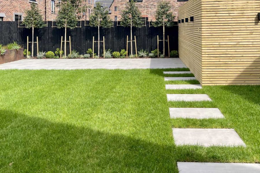 Porcelain stepping stone path set into a lawn leading towards a large grey porcelain patio surrounded by pleached trees and timber screens.