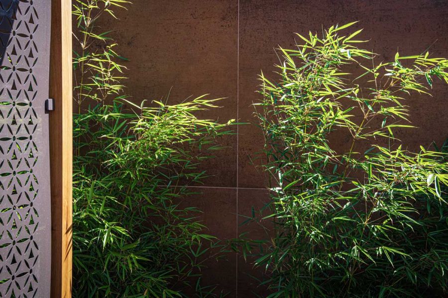 Bamboo plants in front of wall clad in 4 large panels of Steel Corten porcelain. Pierced screen to left. Design by Rachel Goozee.