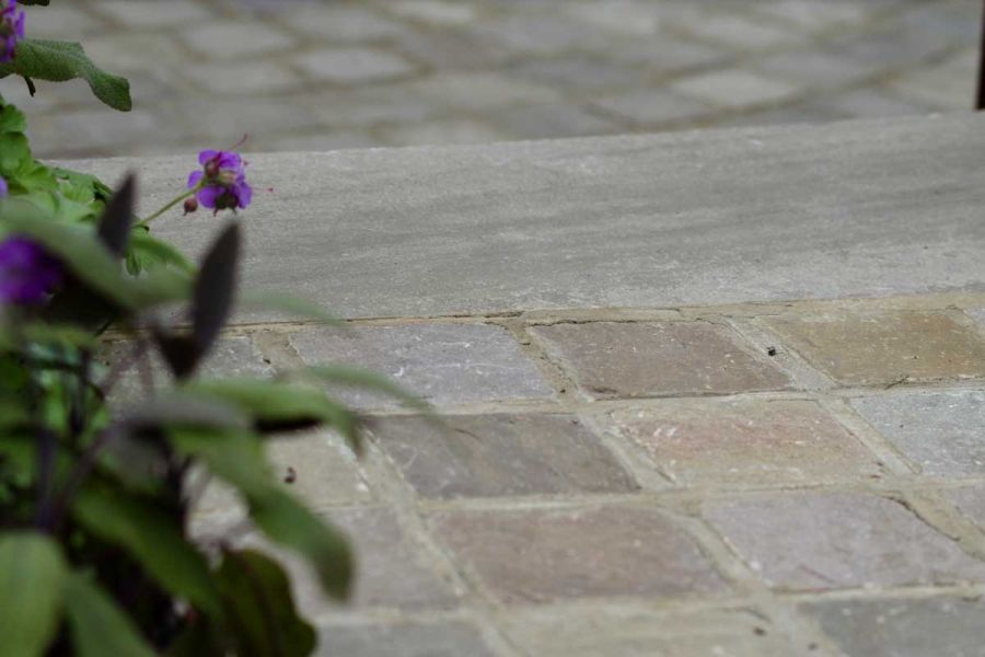Raj Green sandstone setts laid next to step tread, with purple flower in foreground. Design by Richard Rogers.