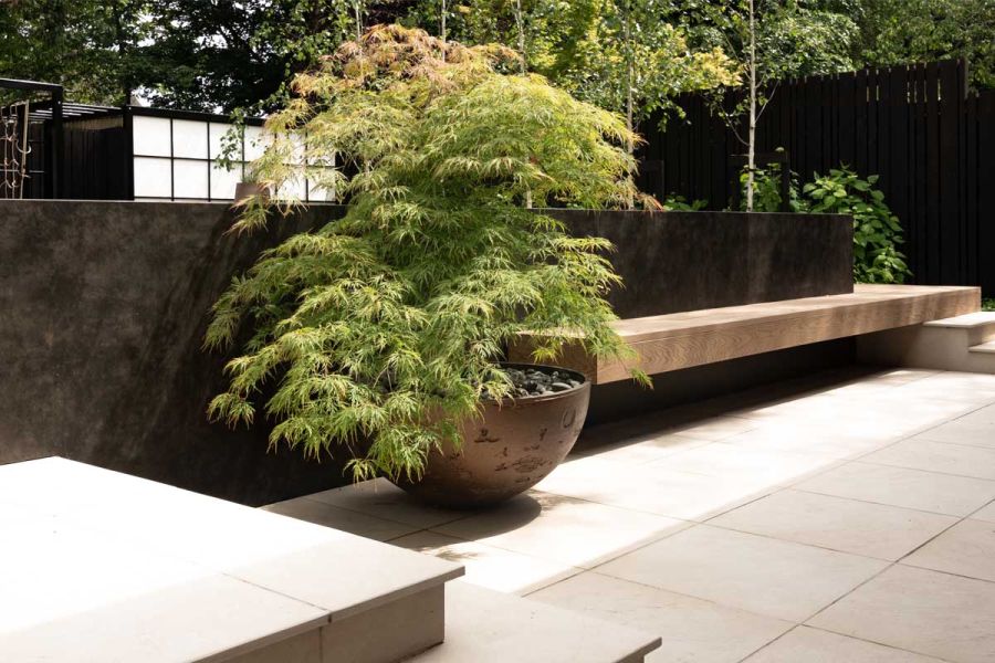 Japanese maple in bowl planter sits on porcelain paving next to wall faced in Vulcano Roca external cladding with bench attached.