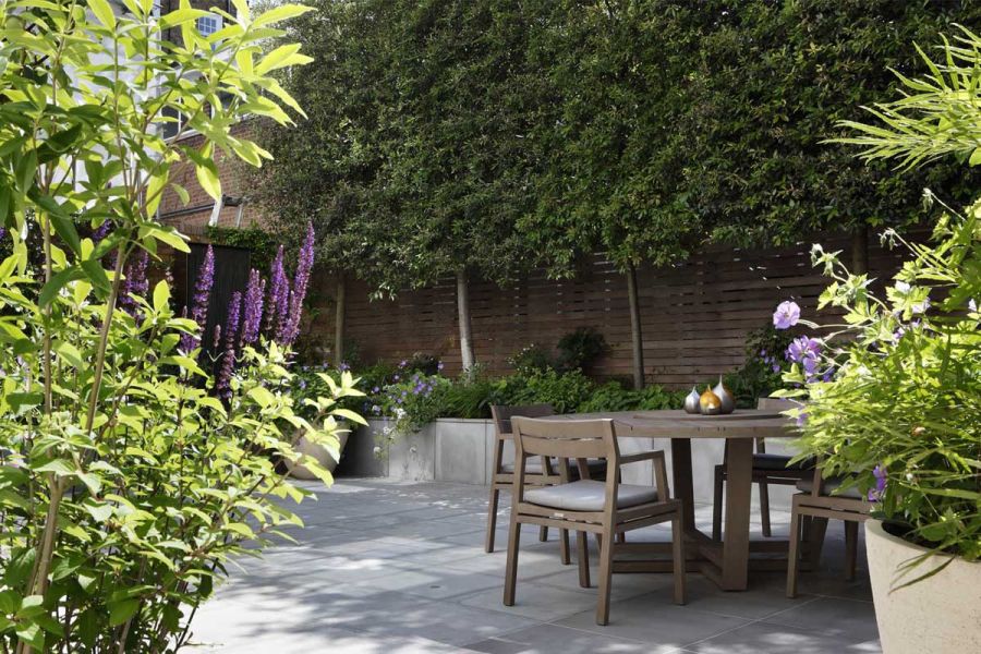 Patio of Contemporary Grey smooth sandstone paving, edged by tall hedge above fence and raised beds. Built by Shoots and Leaves.