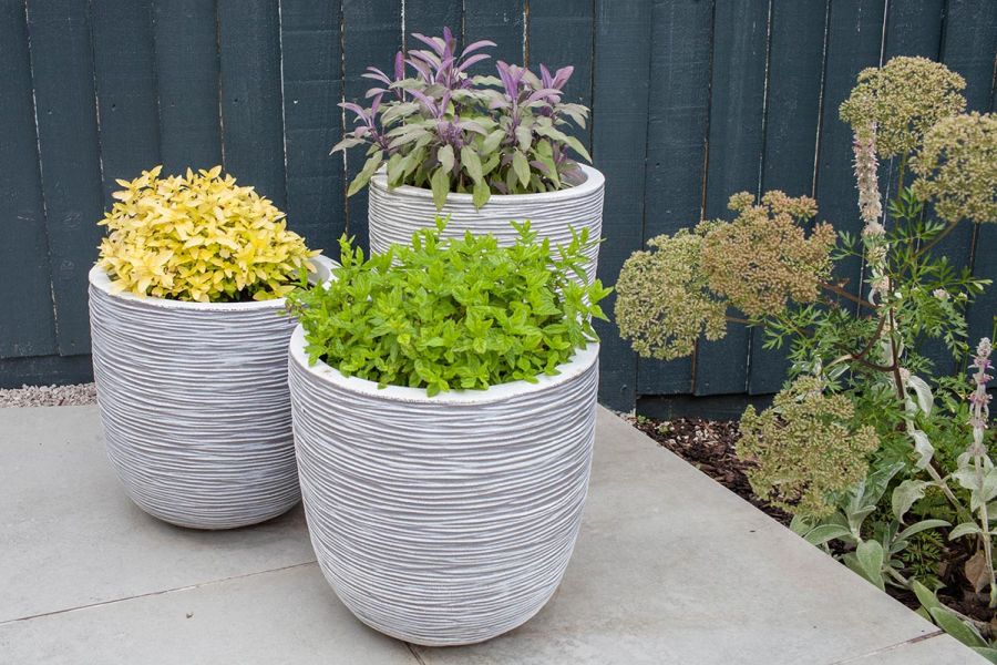 3 Stone effect plant pots against a painted closed board fence and sat on top of Light Grey Porcelain paving.