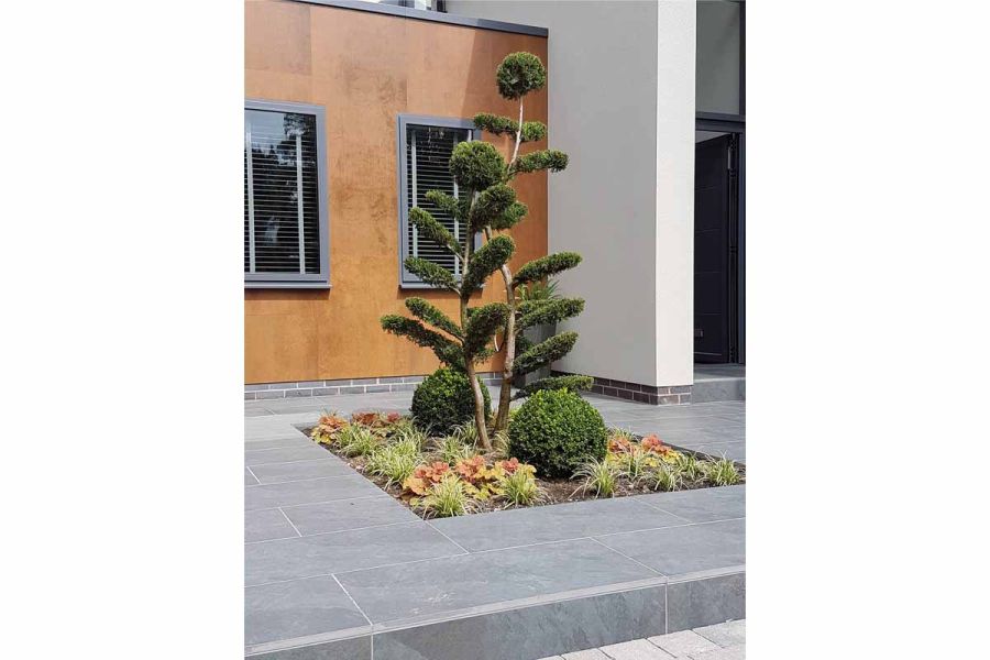 Raised area paved in Slab Coke vitrified outdoor tiles, with cloud-pruned box tree and topiary ball in inset square flowerbed.