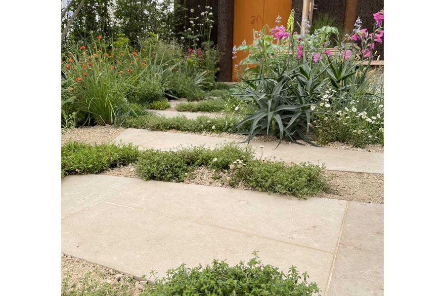 Bespoke-cut Jura Beige Smooth Limestone laid as linear stepping stones in hoggin, with dry planting. Design by Andy Smith-Williams.