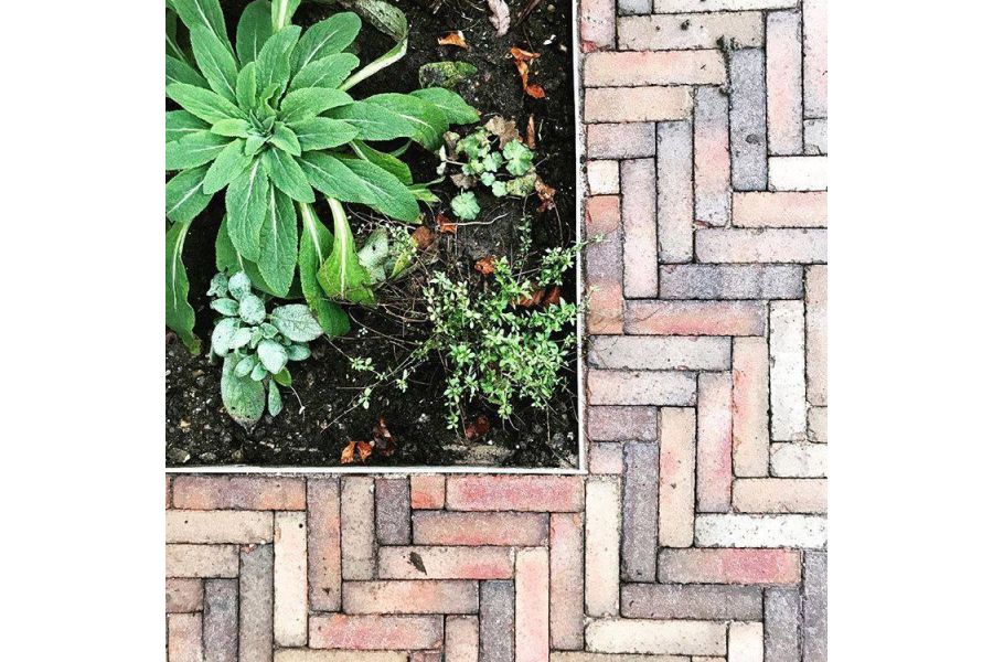 Overhead view of corner of planted bed, set into Bexhill clay paving laid in herringbone pattern. Design by Sprout Up.