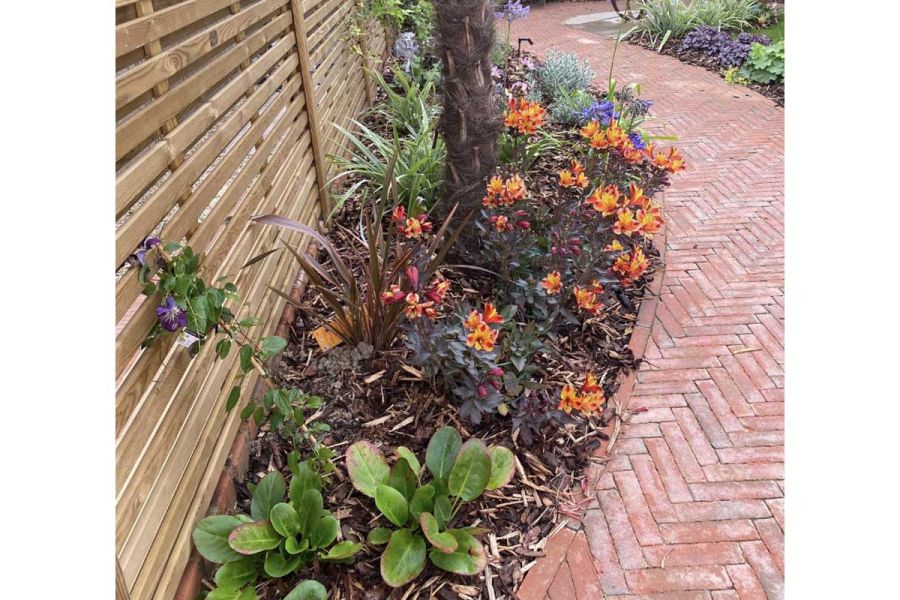 Path of Seville play pavers curves past bed with orange flowering plants next to slatted fence. Design by Thea Pitcher.