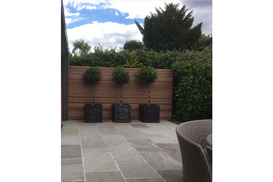 3 topiarised trees in square pots against cedar batten fence panel at far side of patio of grey tumbled Indian sandstone paving.