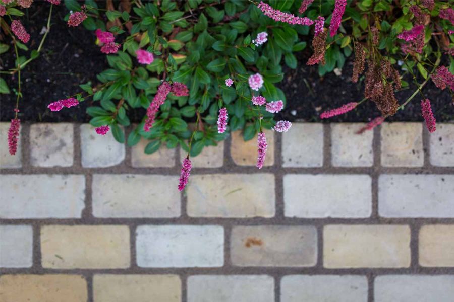Light-coloured Tumbled Mint sandstone setts seen from above, with grey mortar joints, edge bed filled with pink-flowered plants.