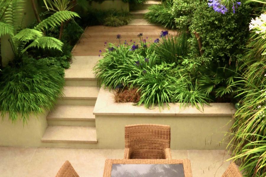 Palms and plants with strap-like leaves fill beds flanking 4 Golden Stone porcelain steps from patio to decked area.