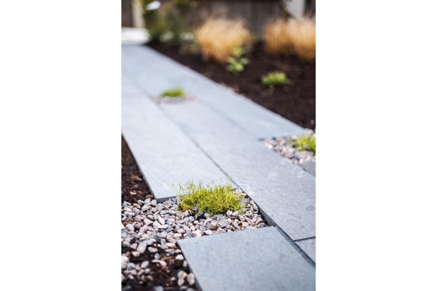 Platinum Grey Porcelain Planks in close-up shot, showing its texture, moss and gravel used in between planks.