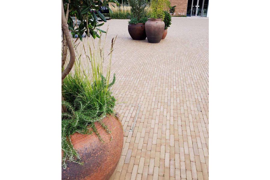 Small group of large pots in middle of expanse of Westminster clay paving, laid outside a corporate-looking building. 