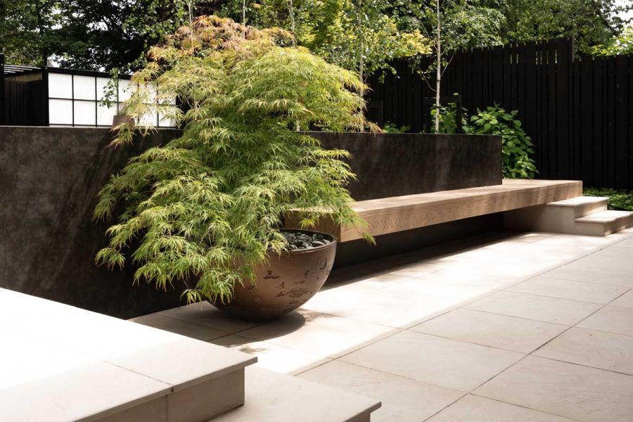 Golden Oak Millboard decking planks used as bench seat next to Japanese maple in bowl planter. Built by WM Exteriors.