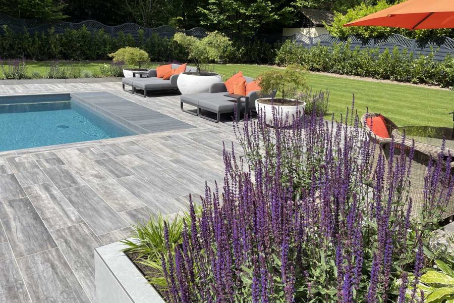 Close up shot of lavender with pool and 2 sunloungers in the distance, cinder porcelain paving slabs used for the patio.