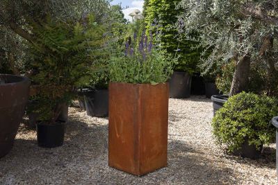 Image displaying Corten Steel Tall Cube Planter (W 500 x H 1000 x D 500mm). *Planting for illustrative purposes only.