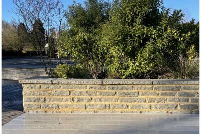 Low block of grey sandstone garden walling, capped with coping. Large shrub stands on other side. Free UK delivery available.***Kent Showroom @ London Stone

