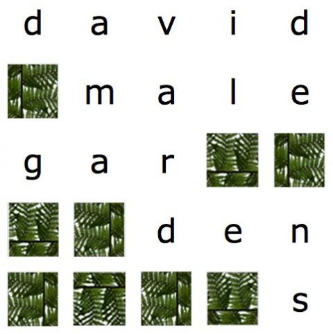 David Male Gardens Logo