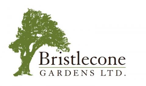 Bristlecone Gardens Ltd Logo