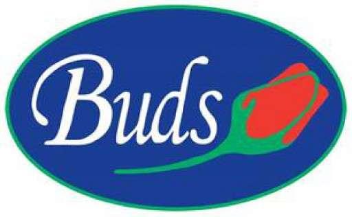 Buds Landscapes Ltd Logo