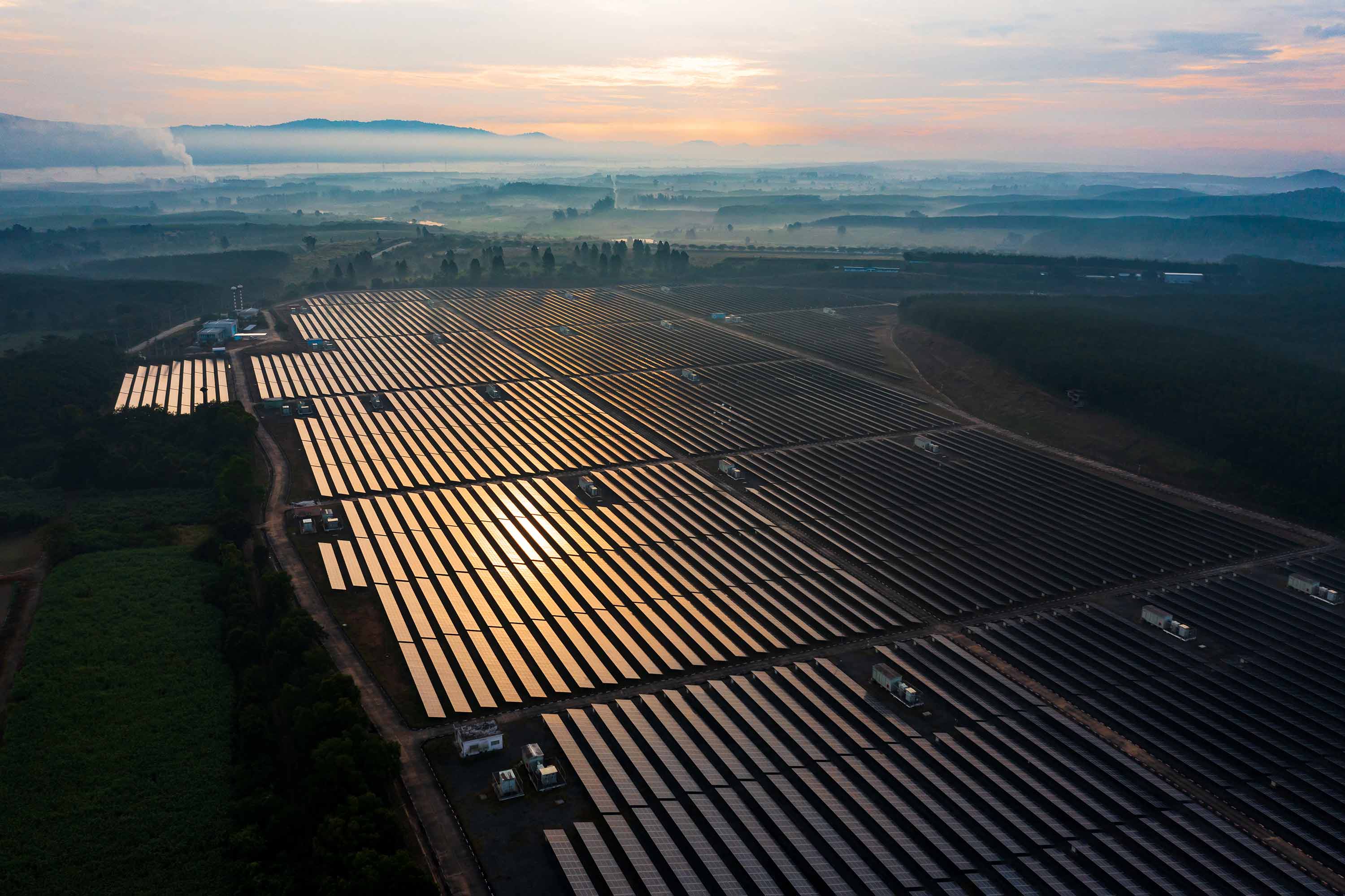 High view of rows and rows of solar panels reflecting gold in sunshine.