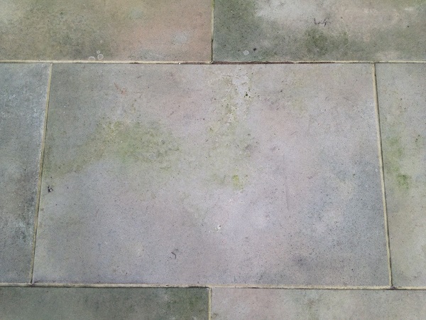 Close up of sandstone paving with  green patches of algae