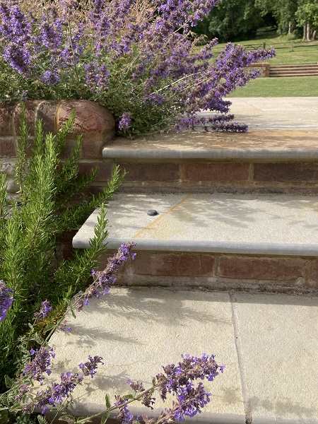 Left end of 3 Antique yellow limestone bullnose steps with brick risers and lavender plants.