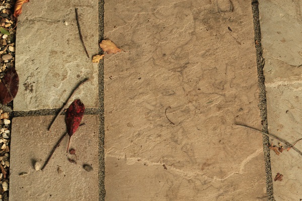 Close view of dirty riven sandstone paving with twigs and leaves.