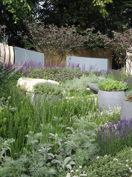 Layered planting in Living Landscapes HUG show garden designed by Rae Wilkinson, RHS Hampton Court 2015