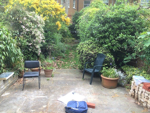 Scuffed square patio between low walls leads to grass path between overgrown bushes.