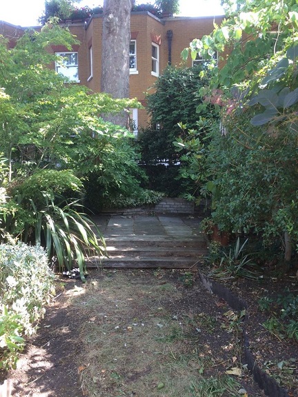 View of long, narrow overgrown garden with tall tree trunk at far end.