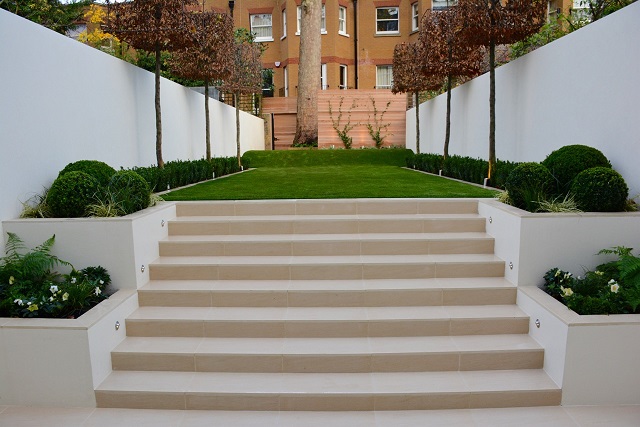 Low-maintenance garden design by Tom Howard. Steps rise to artificial lawn with topiary and box-head hornbeam edging.