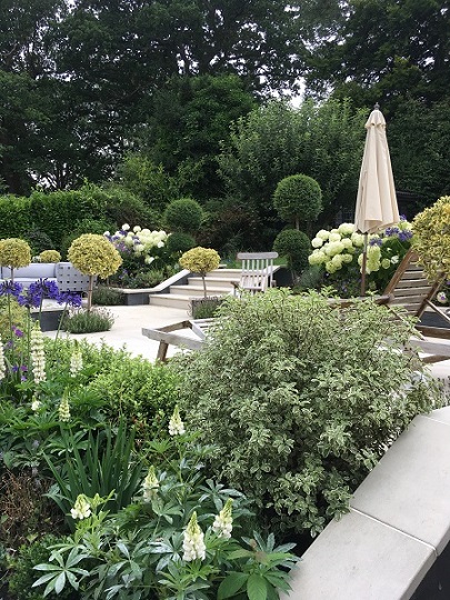 Planted bed obscures paved area of Beige sawn sandstone paving and coping pre-sealed with Dry Treat patio sealer.