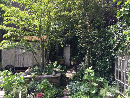 Tree in centre of raised bed with reclaimed stone coping, surrounded by naturalistic planting for a secret garden effect.