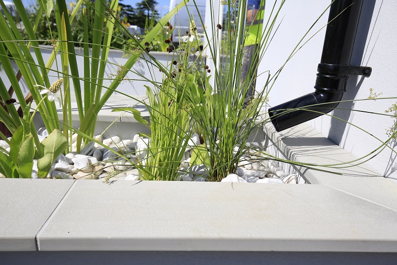 White pebbles in a raised rain garden bed with Flamed Grey Sandstone coping
