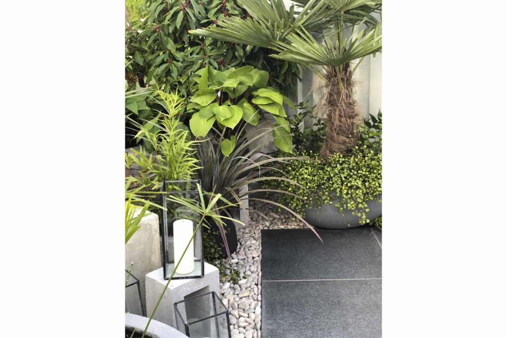 Pale pebbles edge Black Basalt porcelain paving surrounded by exotic planting.