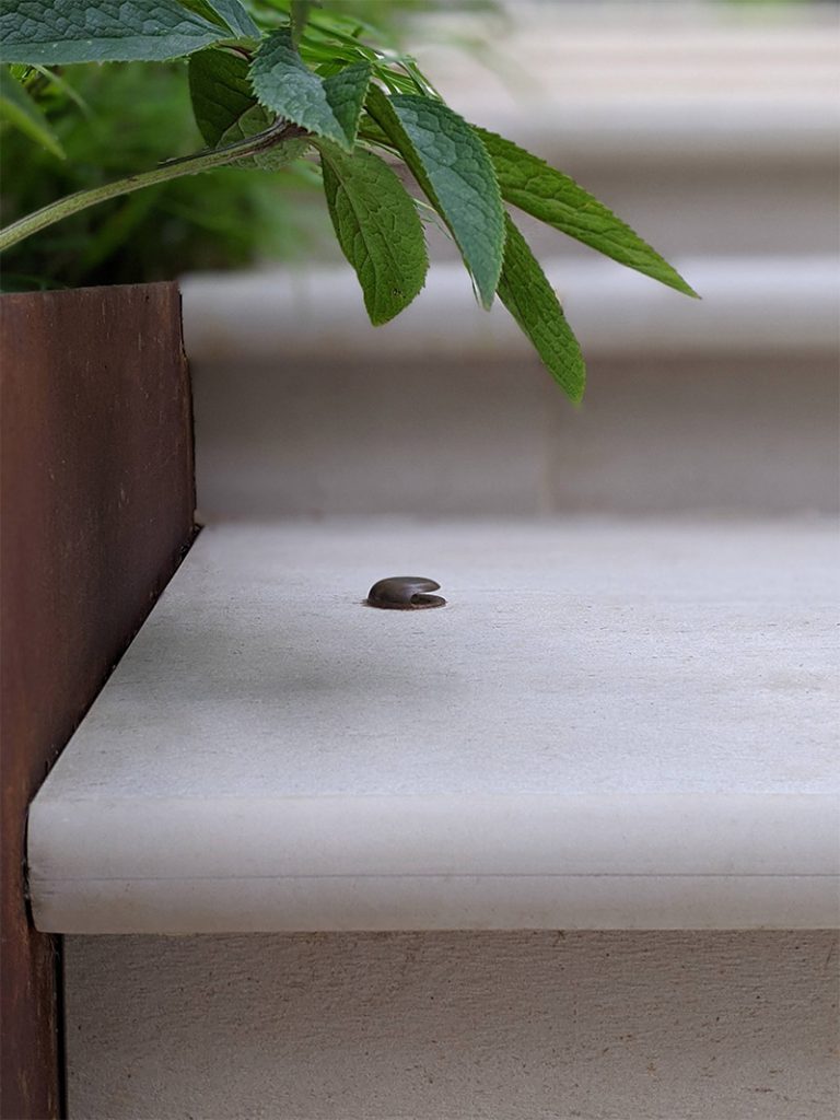 Close-up of front edge of Faro porcelain bullnose step, with small light inserted on top.
