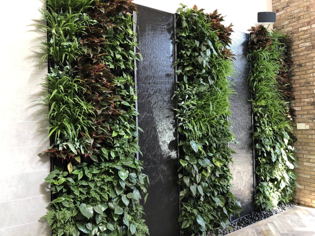 London Stone North London Showroom Scotscape Living Wall