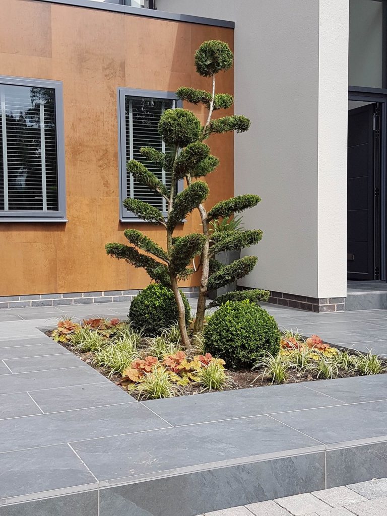 Planted bed in centre of raised patio in Slab Coke Italian outdoor tiles.