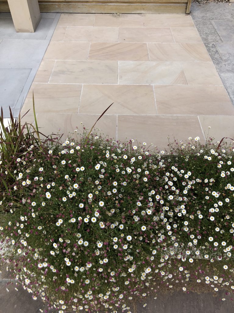 Wow Clients With London Stone’s Showroom