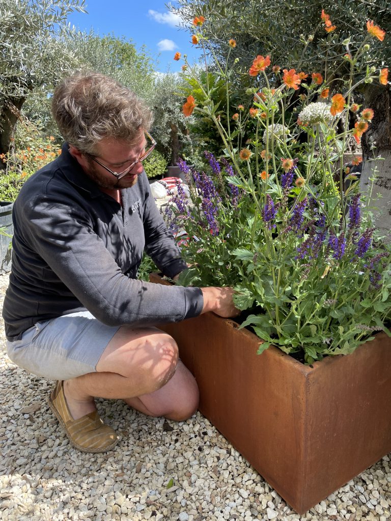 Adding perennial plants to your metal planter is the addition to any garden.