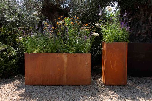 Corten steel planters in situ with perennial plants in bloom from Form Plants. 