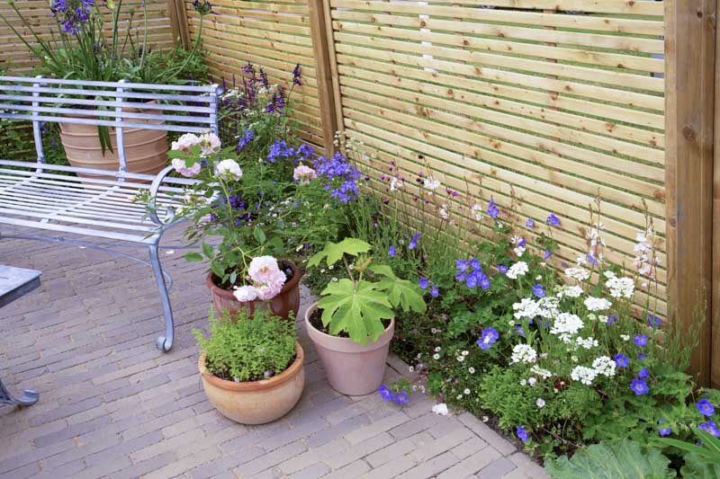 Wooden fencing, clay pavers and planting are combined with a charming result in this Hampton Court Palace Garden Festival 2021 garden. 