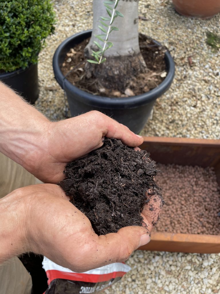 Peat-free compost is perfect for planting. 