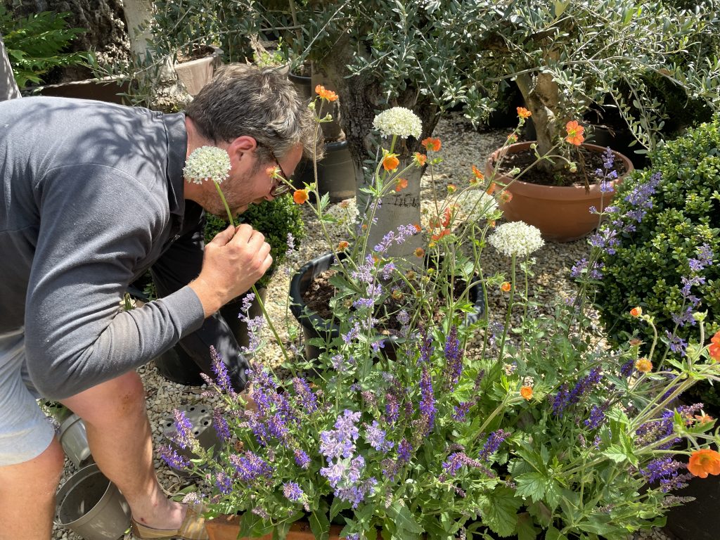 Our corten steel planters make the perfect home bright perennial plants. 