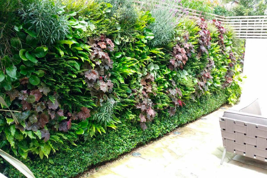 The PlantBox living wall system is perfect for creating privacy in the garden and was shortlisted for the RHS Chelsea Sustainable Garden Product of the Year 2021