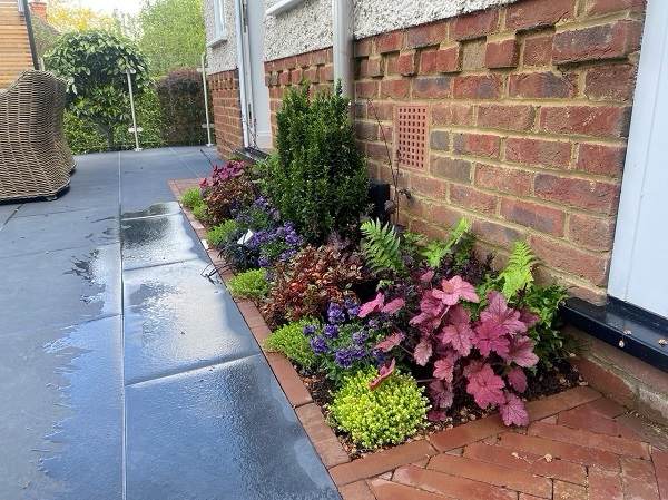 Florence Dark Porcelain paving next to narrow flowerbed with bright-green heathers and purple heucheras.