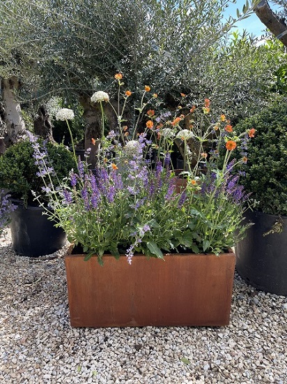 Metal trough planter 800x400x400 in Corten Steel, filled with tall flowering plants, sitting on gravel.
